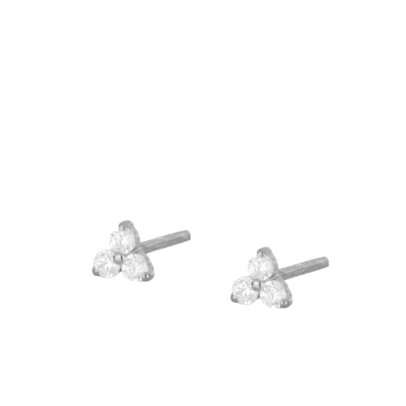 Snail Earrings - Paduche
